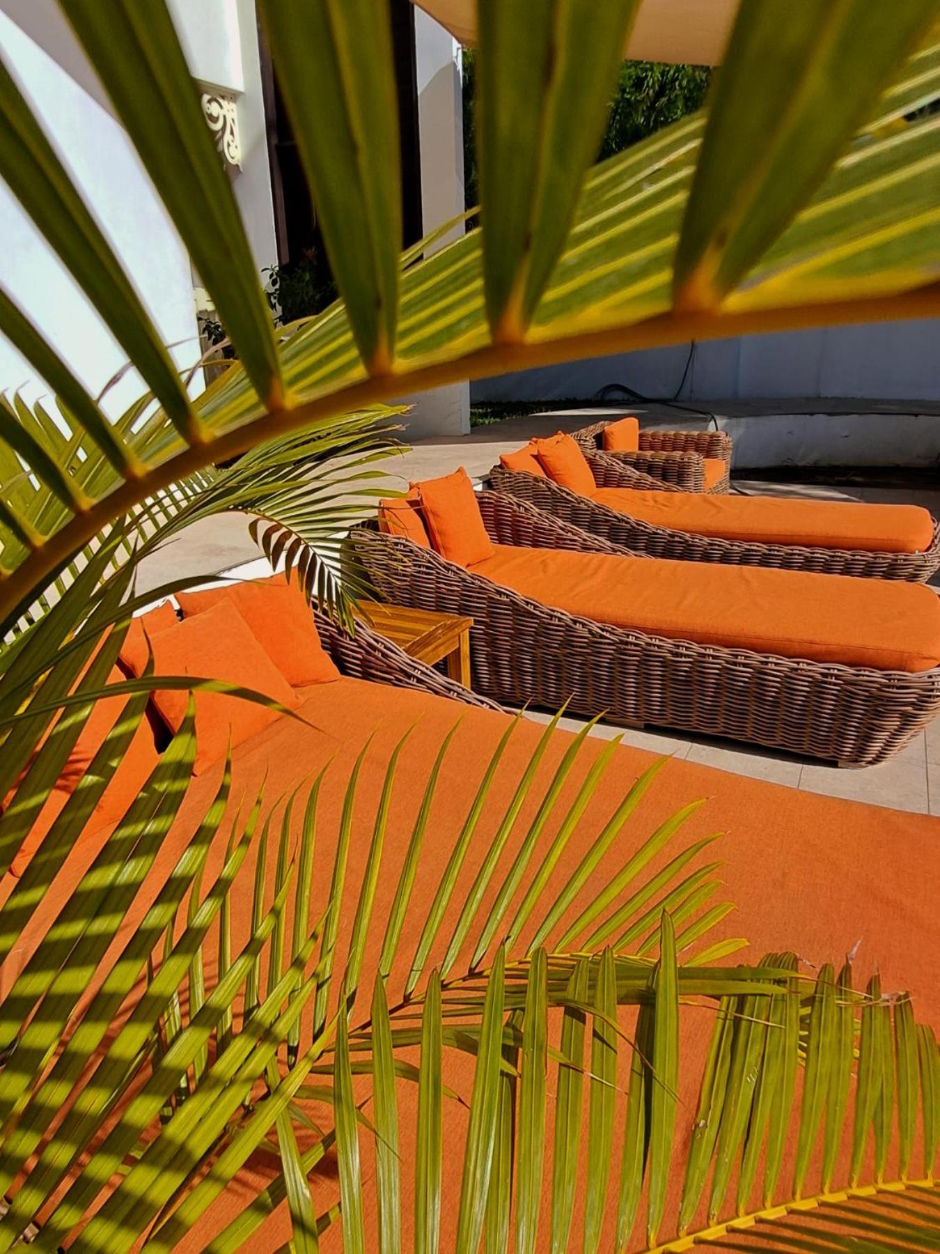 Le Nautile Beachfront Saint-Gilles-les Bains Ngoại thất bức ảnh