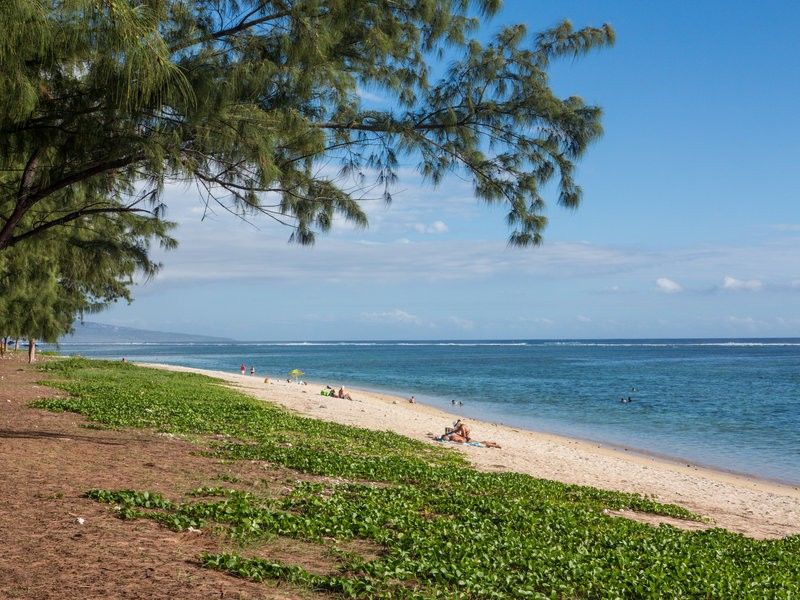 Le Nautile Beachfront Saint-Gilles-les Bains Ngoại thất bức ảnh